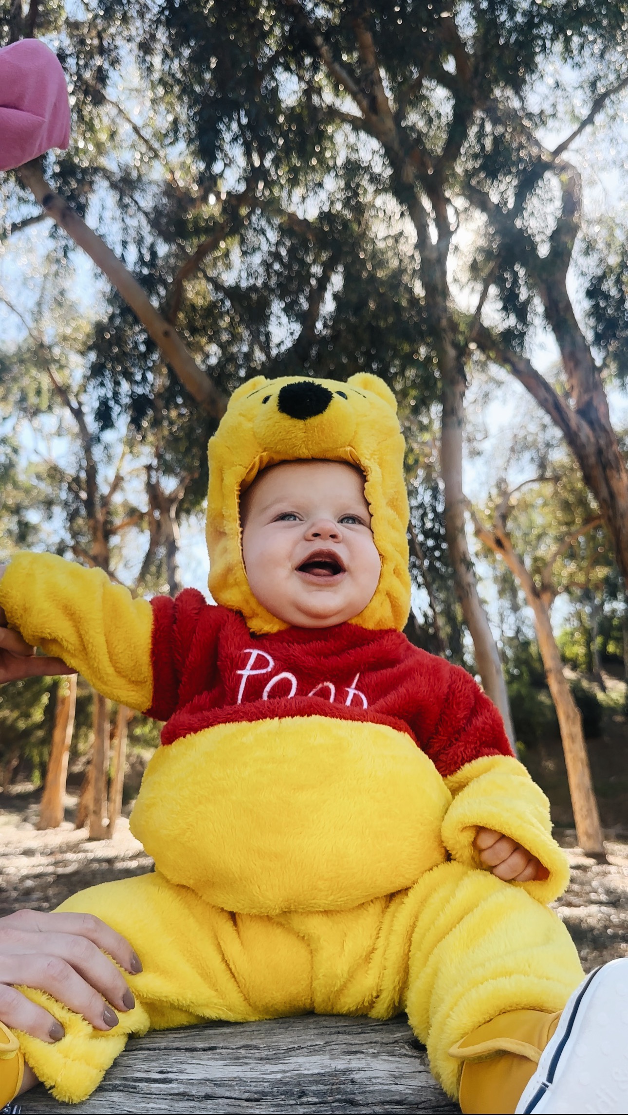 Baby Pooh Halloween Costume